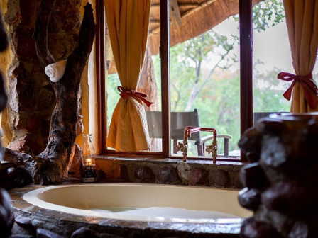 Luxury 7 night Safari